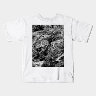 Patagonian Woodland Kids T-Shirt